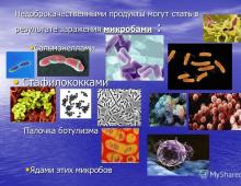 Παρουσίαση τροφικής δηλητηρίασης για μάθημα βιολογίας με θέμα