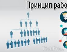 What is mlm business Network marketing mlm